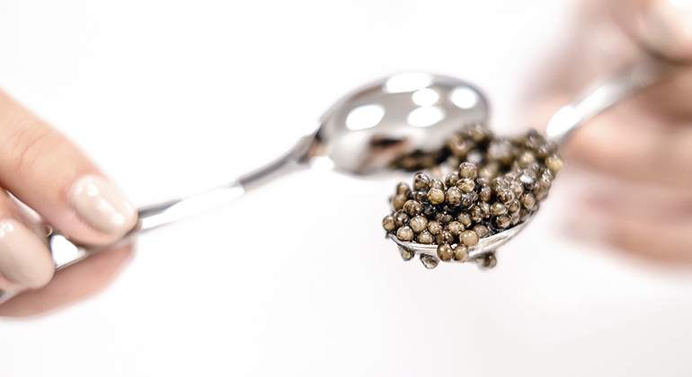Caviar