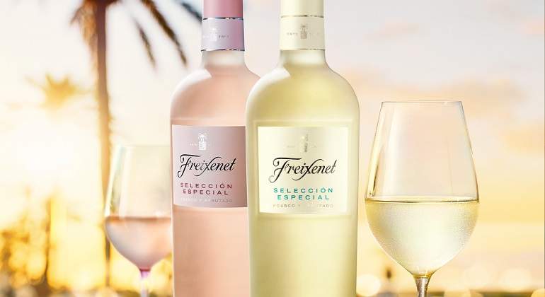 FreixenetVinosWeb.jpg
