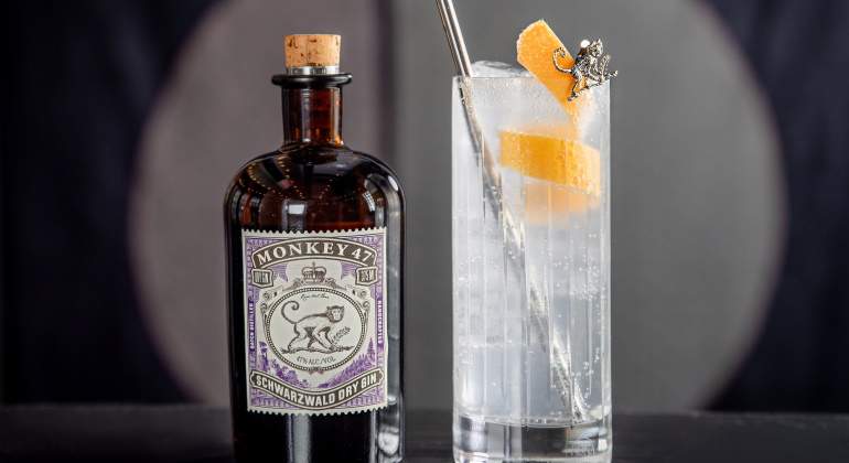 ginebra-gin-tonic-autentico.jpg
