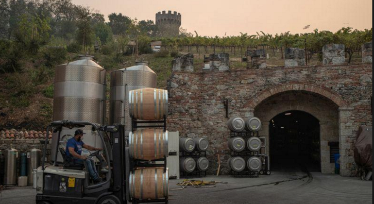 vinos-produccion-reuters.png