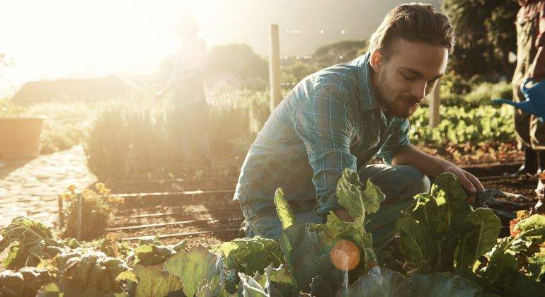 agricultura-ecologica-770-istock.jpg