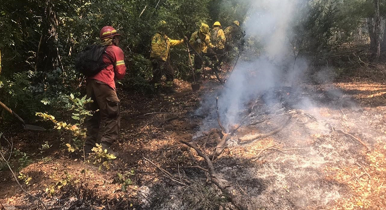 incendio-forestal-maule-efe.png