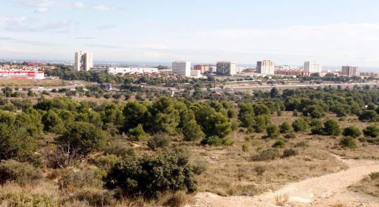 Terrenos donde est prevista la construccin del centro comercial de Intu GUILLERMO LUCAS