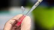 La vacuna de Oxford contra el coronavirus supera su primera prueba en humanos creando dos tipos de inmunidad