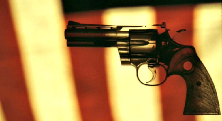 Pistola-EEUU-770.jpg