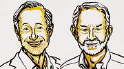 Paul R. Milgrom y Robert B. Wilson ganan el Premio Nobel de Economía 2020