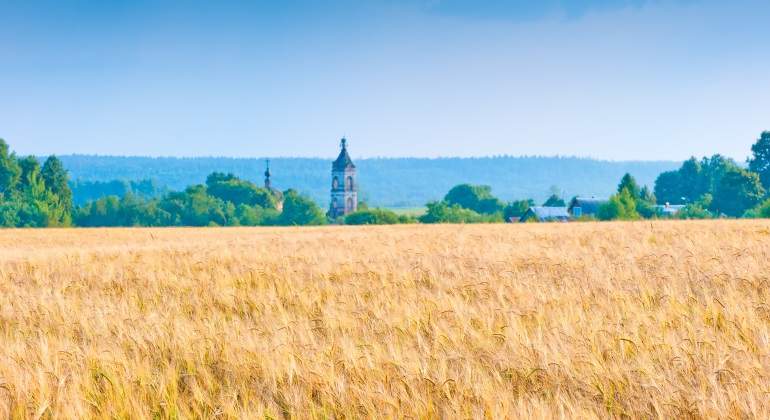 campo-ruso-trigo.jpg