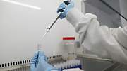 El reto del sector farmacéutico: ¿cuándo tendremos una vacuna contra la COVID-19?