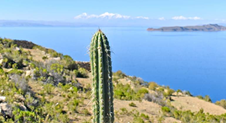 770x420-cinco-tendencias-vacacional-2020-barcelo.jpg
