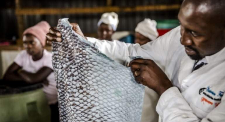 perca-cuero-pescado-piel-moda-sostenible-fao.jpg
