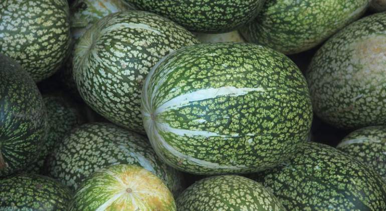 calabaza-verde-770-dreamstime.jpg
