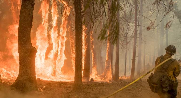 california-incendio-agosto2018-reuters.jpg
