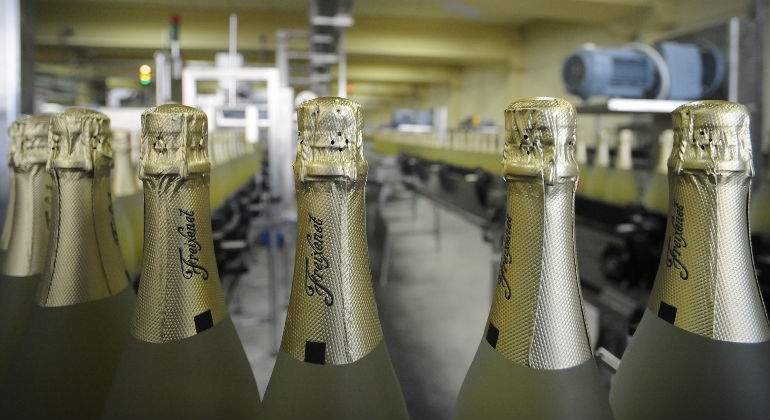 freixenet.jpg
