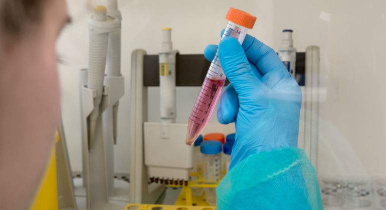 investigacion-cancer-defini.jpg