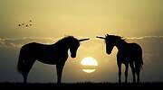 Inicio de año sin precedentes: enero cierra con cuatro nuevos unicornios en España