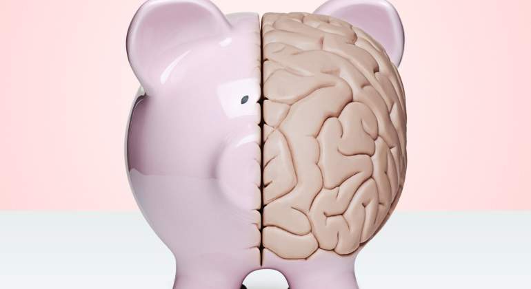 Cerdo-cerebro-Getty.jpg