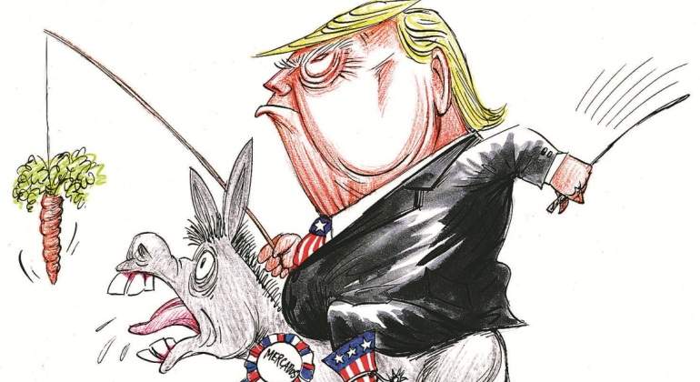 trump-borrico.jpg