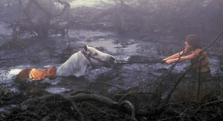 caballo-de-la-historia-interminable.jpg