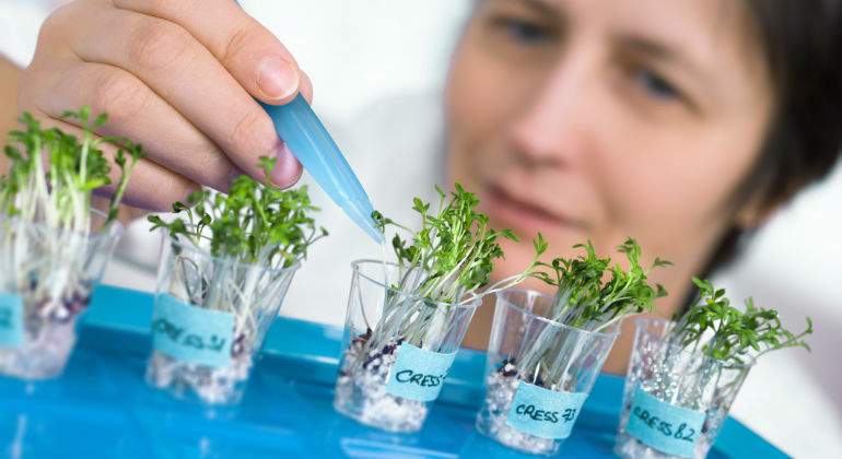 plantas-investigacion.jpg