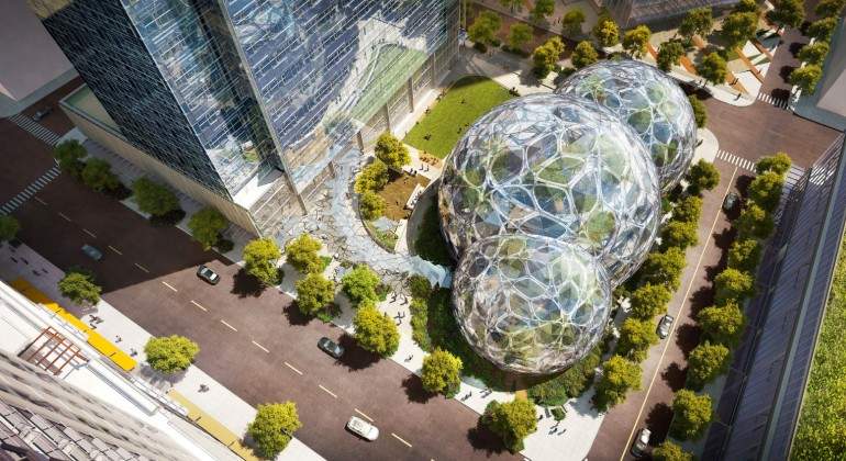amazon