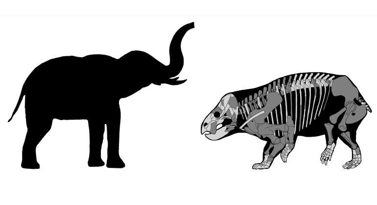 mamifero-elefante-dinosaurios-reuters-770.jpg