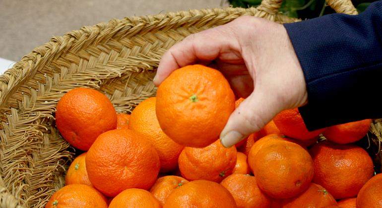 mandarinas-mano-cesta-770.jpg