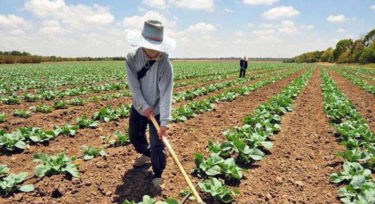 agricultura