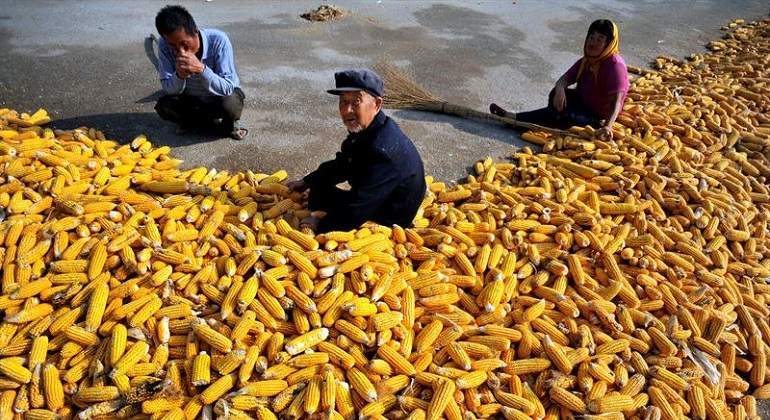 china-alimentos.jpg