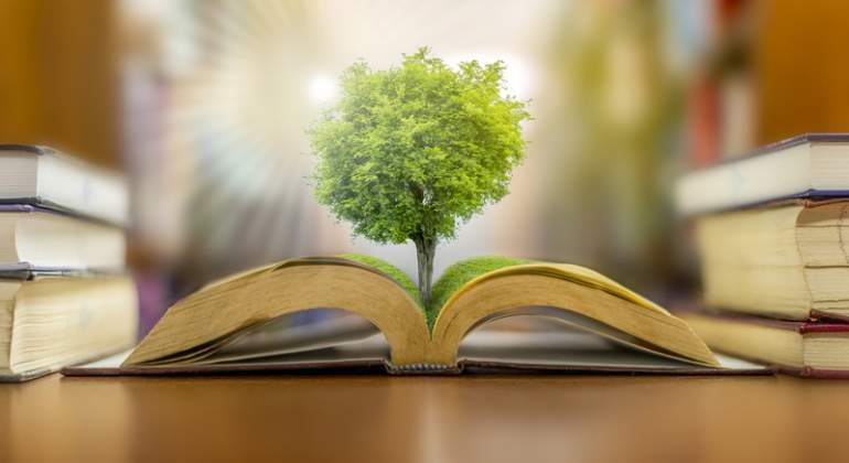 Un rbol sale de un libro abierto educacin ambiental