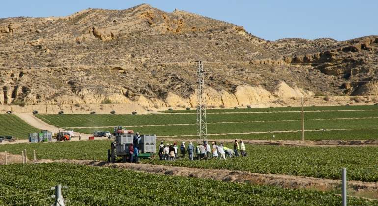 agricultura-espana.jpg