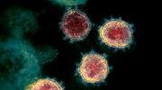 Lambda, la nueva variante del coronavirus que se extiende rápidamente por América Latina
