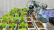 Innovación, seguridad y alimentación, los grandes retos de la industria alimentaria