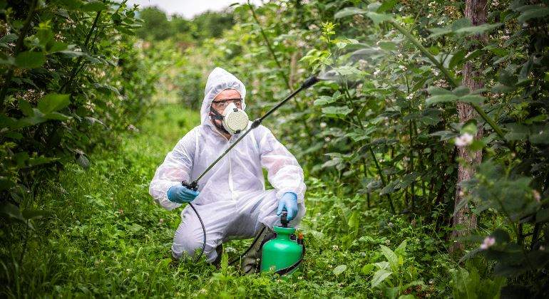 cientifico-biologo-quimico-fumigando-plantas-fitosanitarios-istock-770x420.jpg