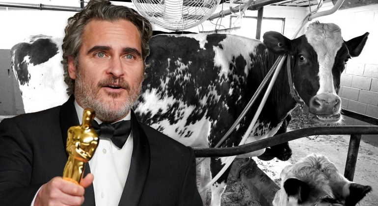 joaquin-phoenix-vacas-770.jpg