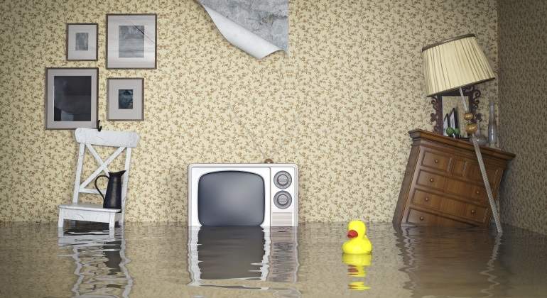 inundacion-pato-casa.jpg
