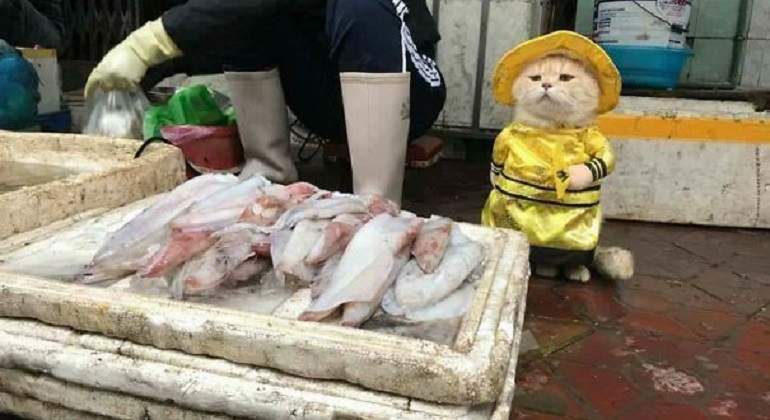 Le-Quoc-Phong.jpg