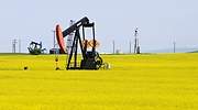 ¿Gana alguien con el desplome del petróleo? Esta vez la historia es muy diferente