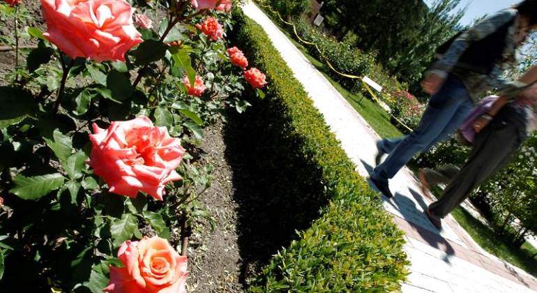 jardin-770-efe.jpg