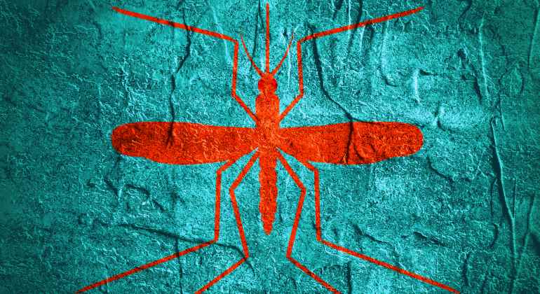 mosquito-enfermedad-azul-770-istock.jpg
