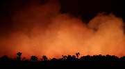 El incendio del Amazonas en Brasil