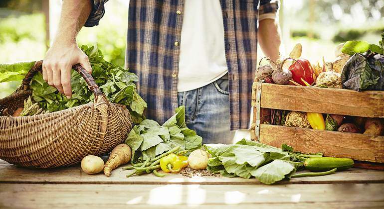 agricultores-ecologicos.jpg