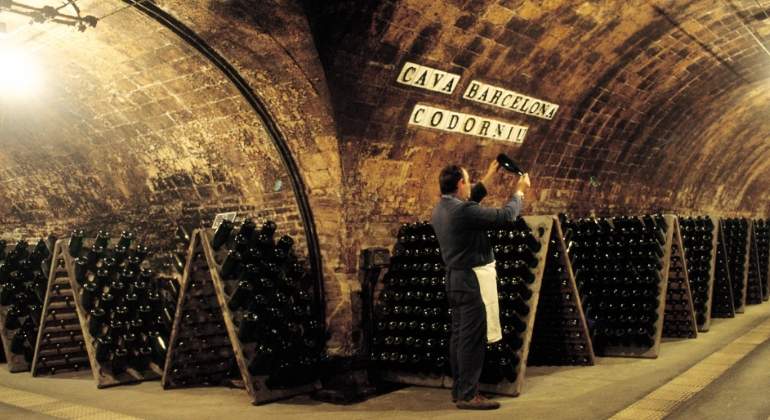codorniu-cava-trabajador-getty.jpg