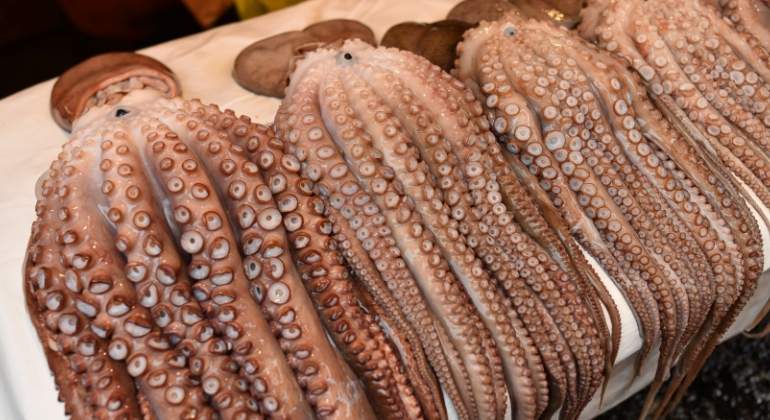 pulpo