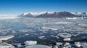 La fórmula para evitar congelarse en la glaciación de la renta fija