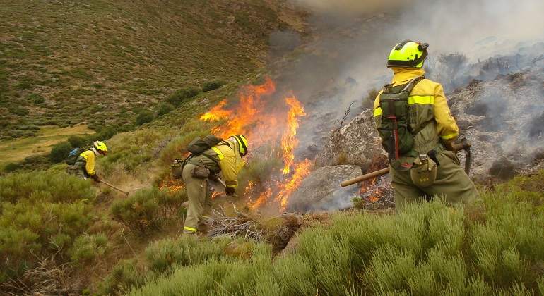 IncendioForestal.jpg