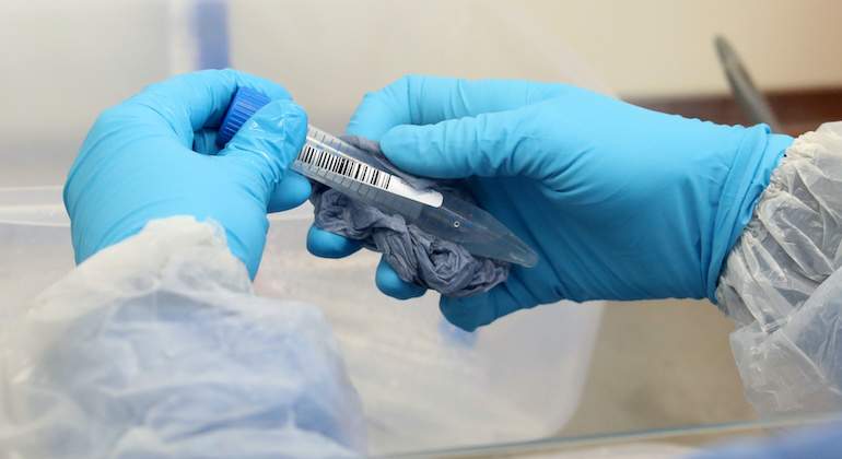 laboratorio.JPG