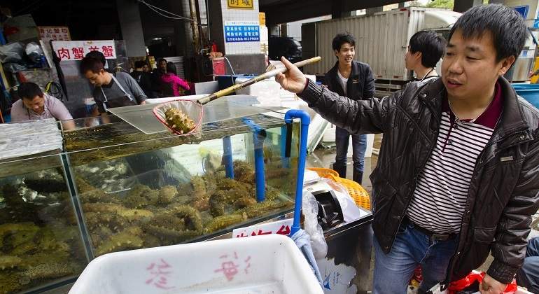 china-mercado-humedo-reuters.jpg