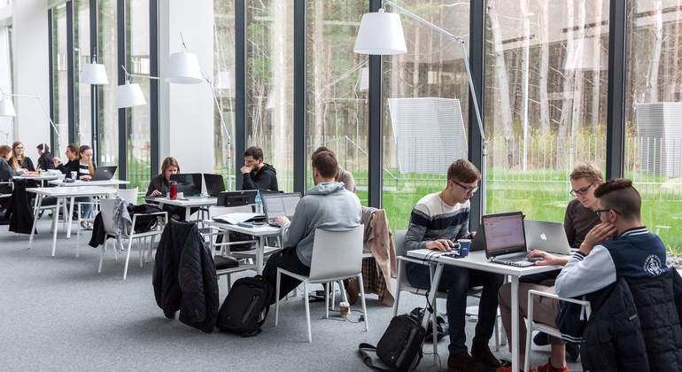 estudio.jpg