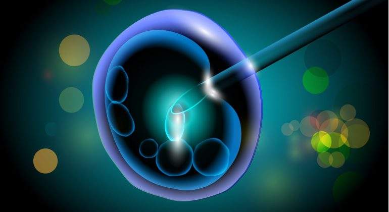 invitro-dreamstime.jpg
