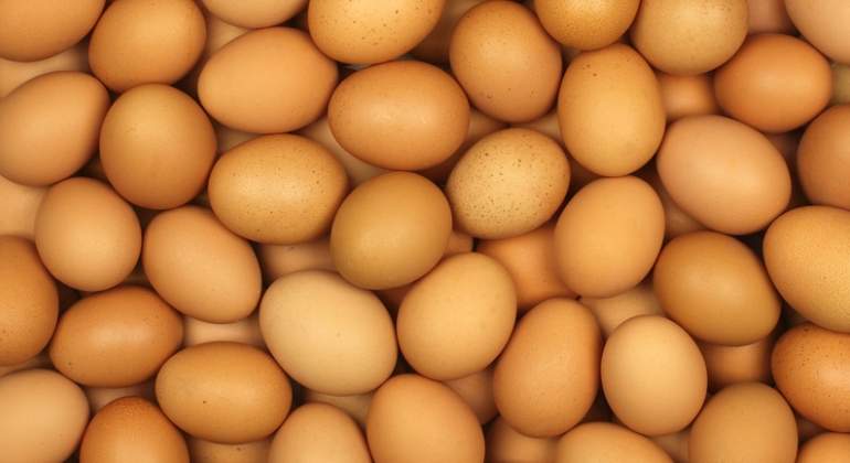 huevos-dreamstime.jpg